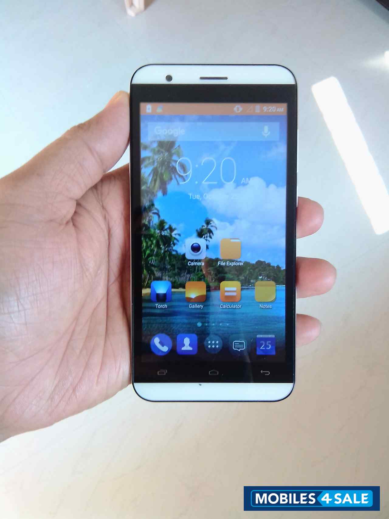 White Intex Aqua Young