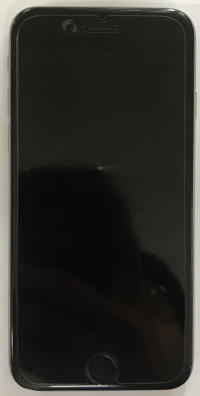 Silver Apple iPhone 6