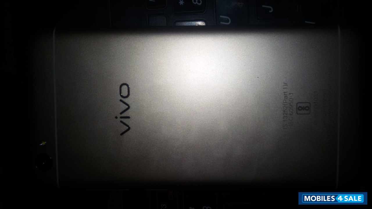 Gold Vivo  1610