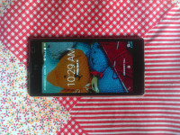 Champ+gold Yu Yuphoria