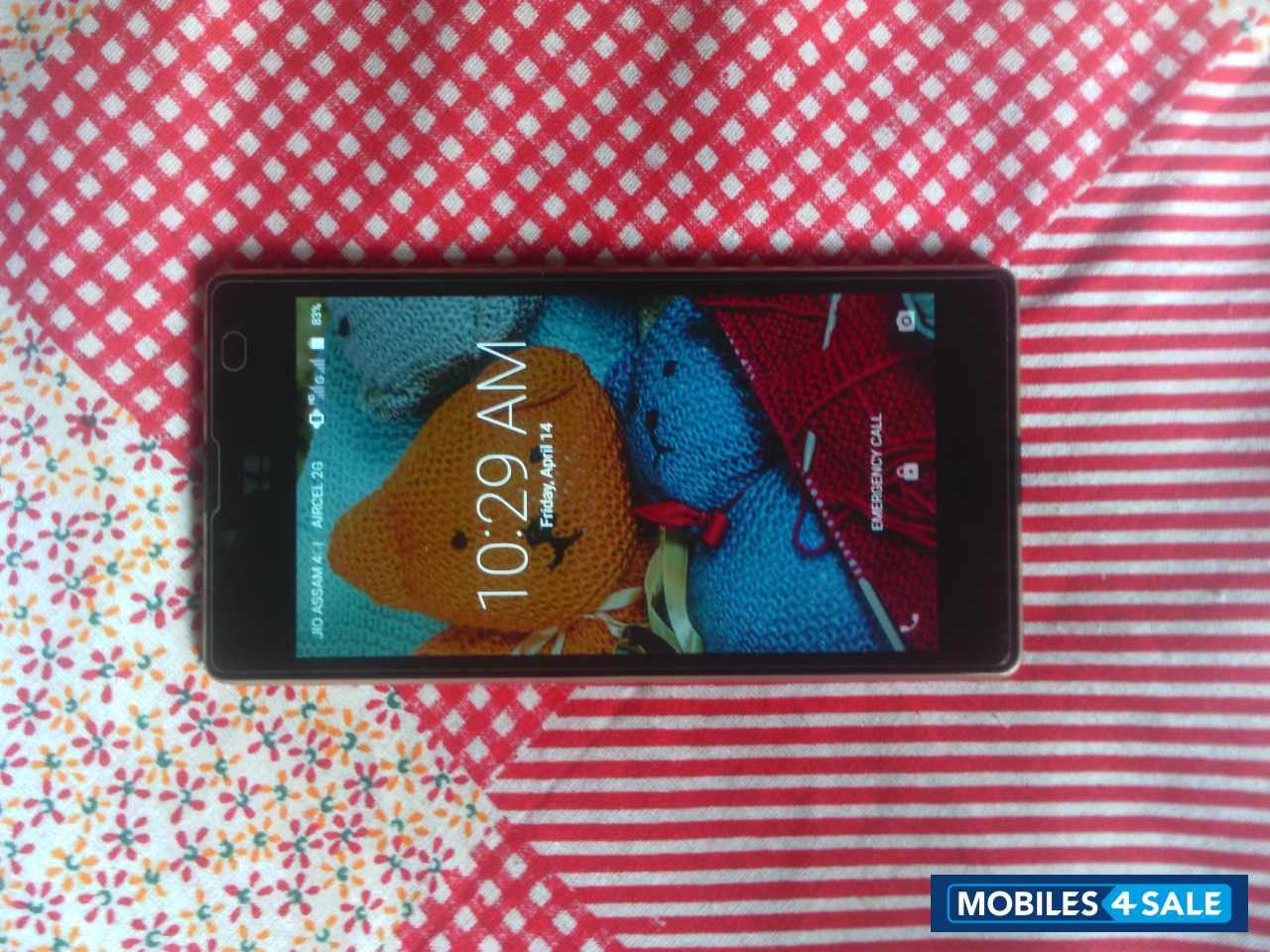 Champ+gold Yu Yuphoria