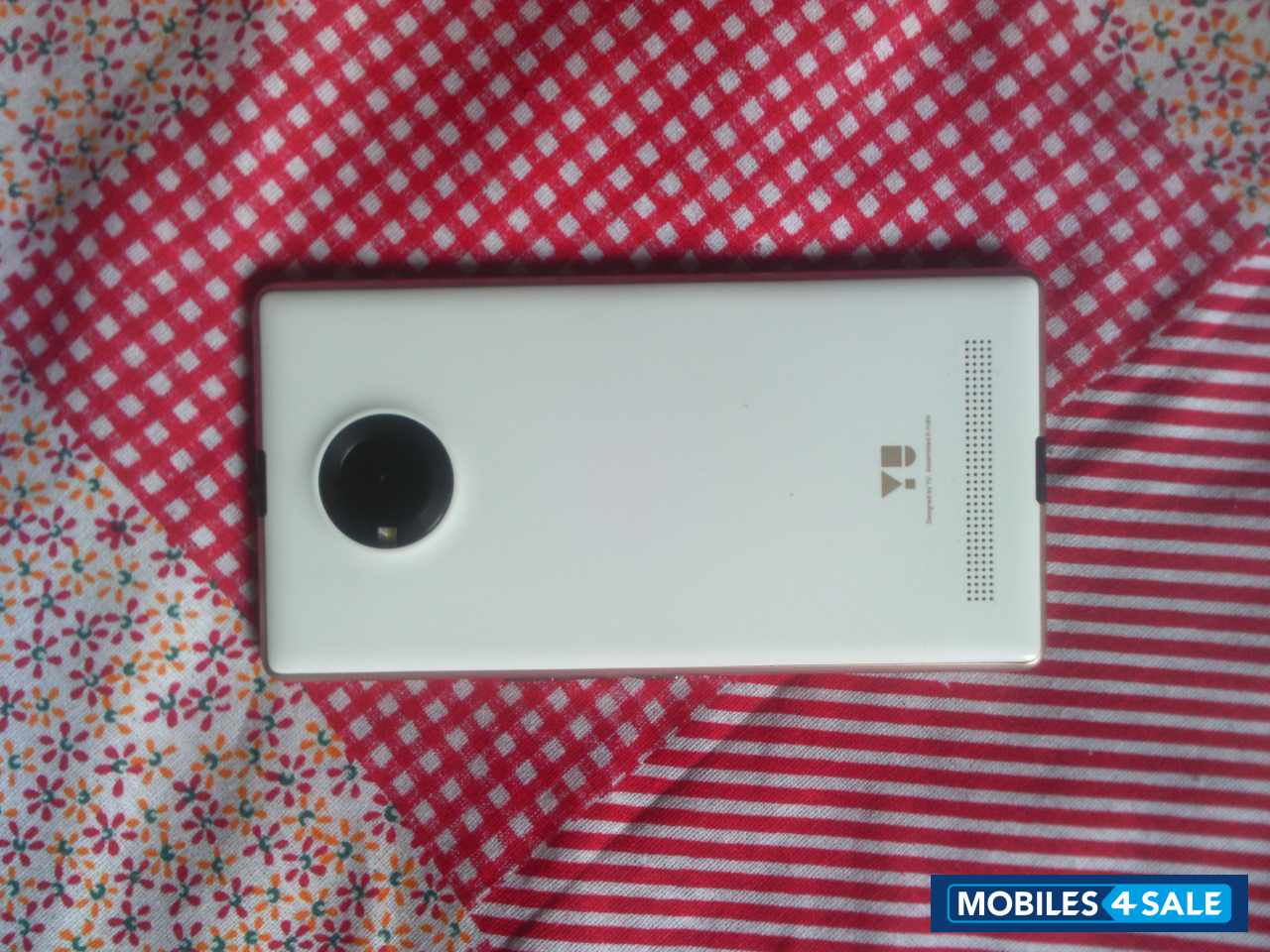 Champ+gold Yu Yuphoria