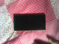 Champ+gold Yu Yuphoria