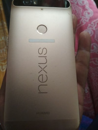 Golden Google Nexus 6P