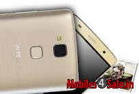 Golden Intex ELYT E1