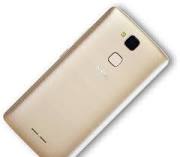 Golden Intex ELYT E1