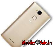 Golden Intex ELYT E1