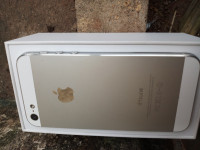 White Apple iPhone 5