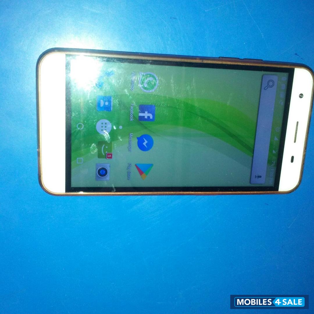 Gold Lyf Water 11 Gold Lyf Water 11