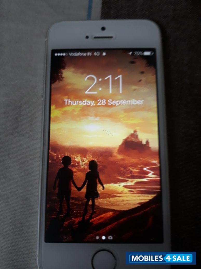 Silver Apple iPhone 5S