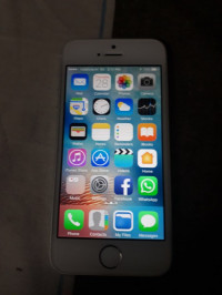 Silver Apple iPhone 5S