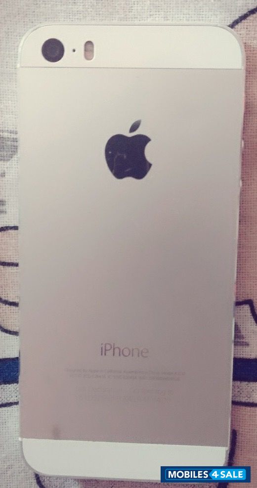 Gray Apple iPhone 5S