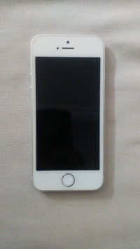 Silver Apple iPhone 5S