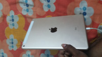 Golden Apple iPad Air 2