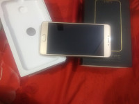 Golden Micromax Evok Note