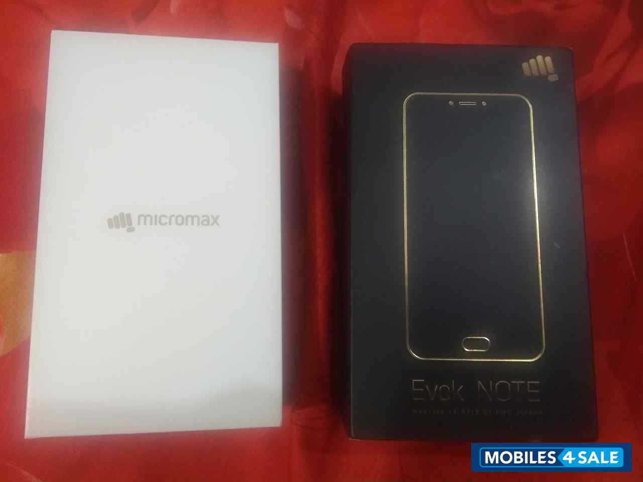 Golden Micromax Evok Note
