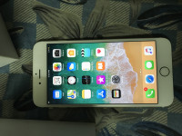 Gold Apple iPhone 6S Plus