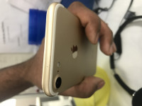 Gold Apple iPhone 7