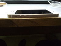Gold Apple iPhone 5S