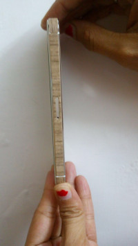 Gold Apple iPhone 5S