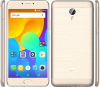 Gold Micromax  Evok Note