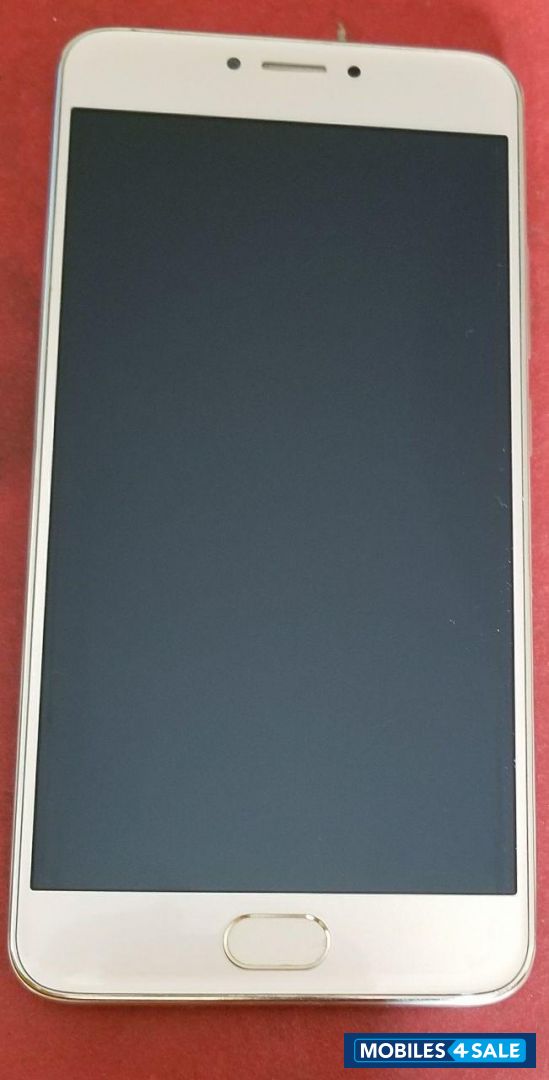 Gold Micromax  Evok Note