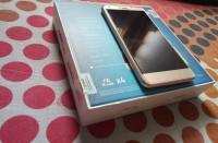 Gold Panasonic P55 Max