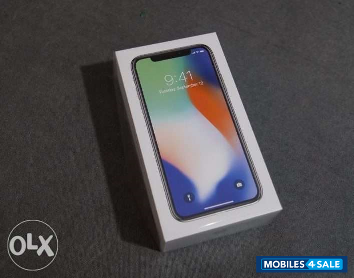 Silver Apple  iphone x