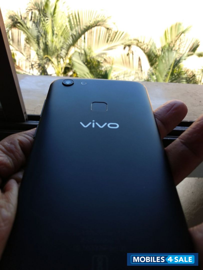 Black Vivo V-series vivo v7