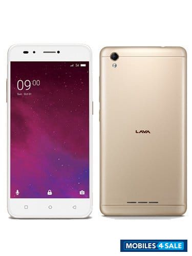 Golden Lava Z60