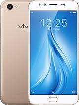 Gold Vivo V5