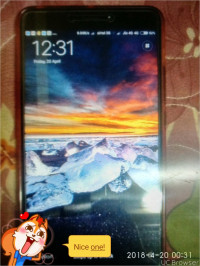 Xiaomi  Max 2 (Black, 64 GB)