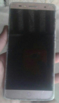 Intex  intex elyt e1