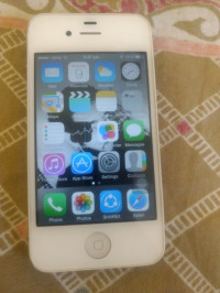 White Apple  4
