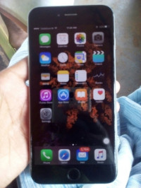 Apple  iPhone 6 Plus(64 GB)