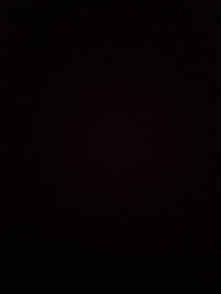 Panasonic  Eluga prim