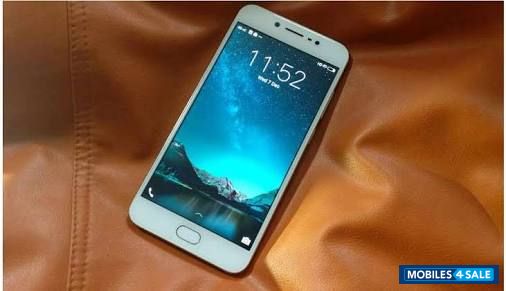 Gold Vivo V5 Plus