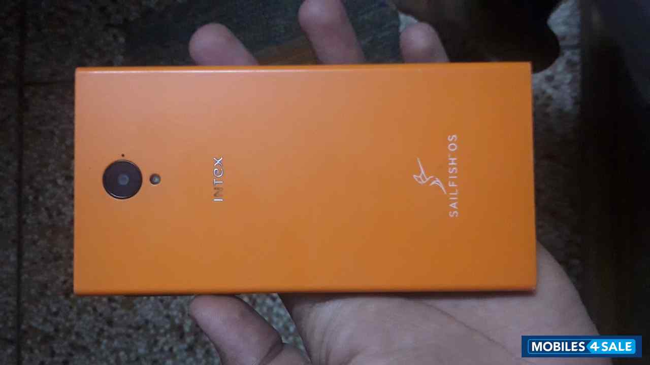 Orange Intex Aqua fish