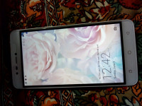 Champagne Gold Coolpad  Mega3