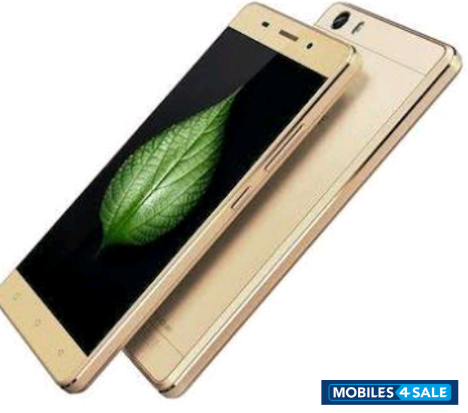 Golden Gionee Marathon M5 Lite