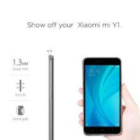Grey Xiaomi  mi y1