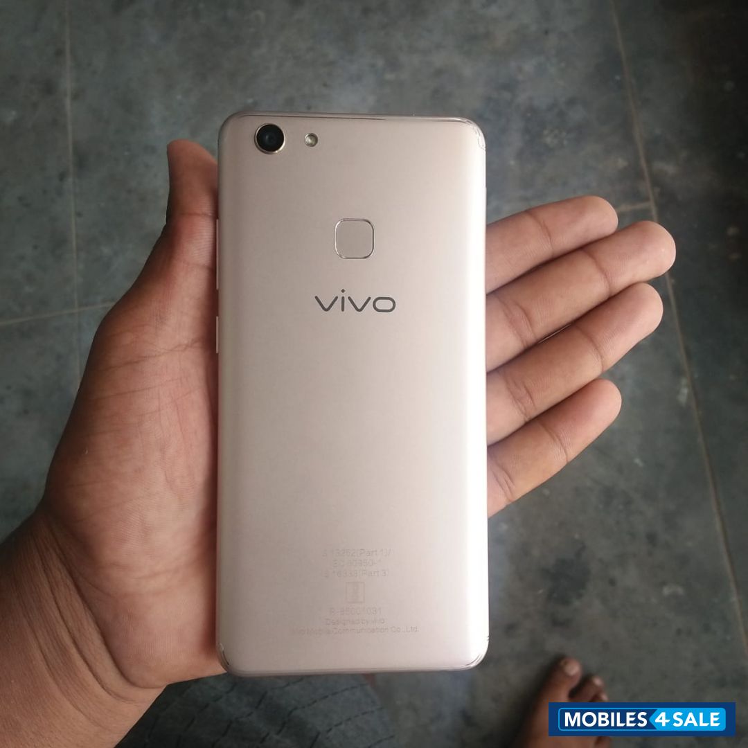 Vivo  V7+