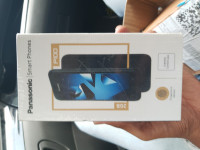 Panasonic  P100