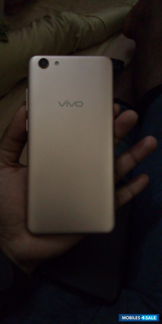 Vivo  vivo1724