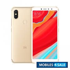 Gold Xiaomi  y2