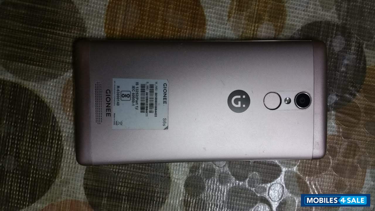 Latte Gold Gionee  S6s