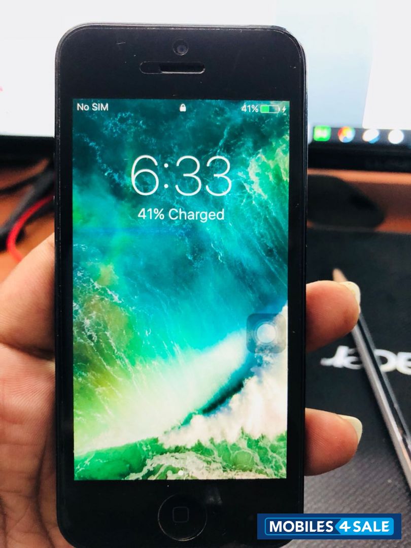 Black Apple iPhone 5