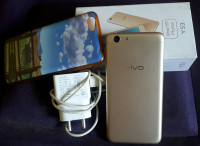 Gold Vivo  Y53