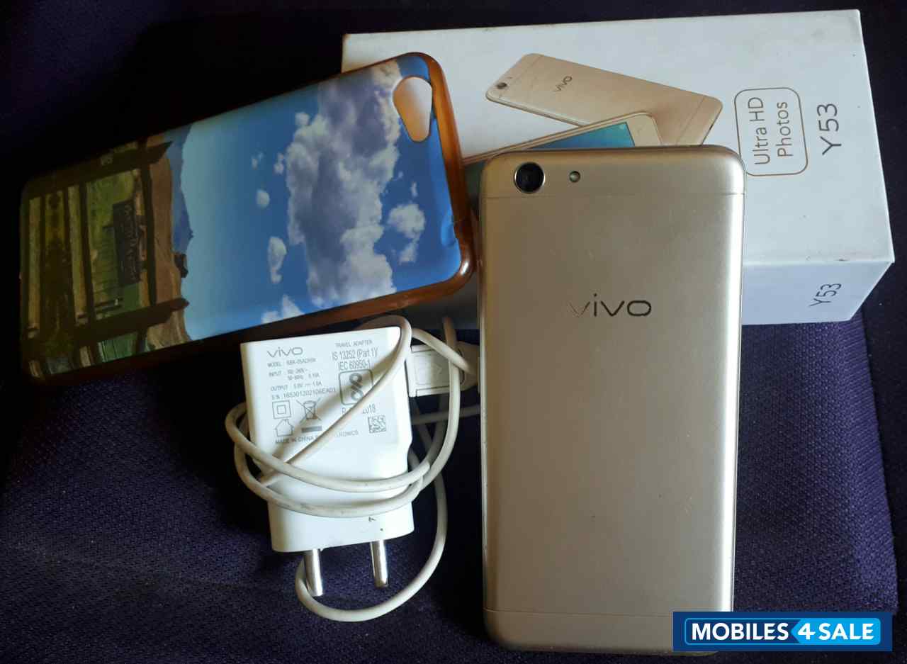Gold Vivo  Y53