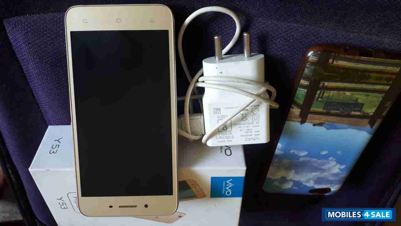 Gold Vivo  Y53